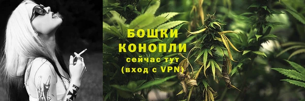 трава Балахна