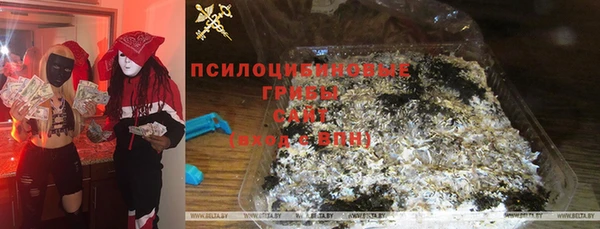 трава Балахна