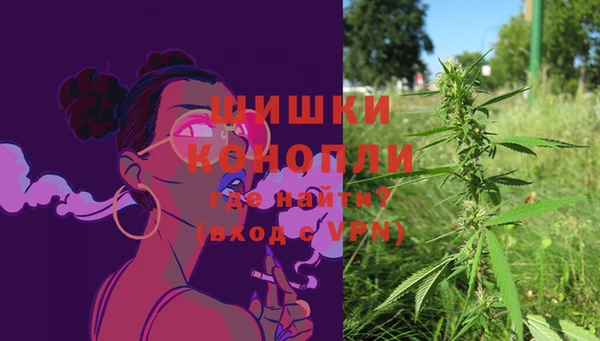 трава Балахна