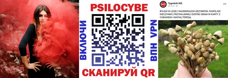 Псилоцибиновые грибы прущие грибы  цены   Кыштым 